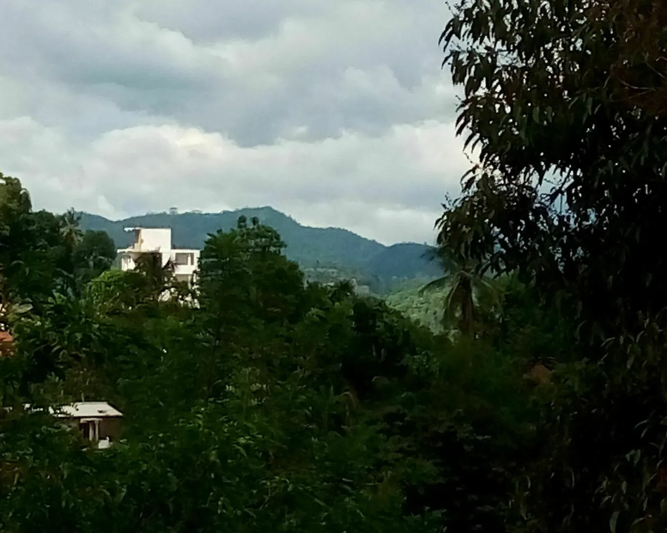 Bed & Breakfast Owinwil Boutique Hotel Kandy